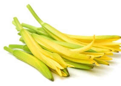 Hémérocalle - hemerocallis